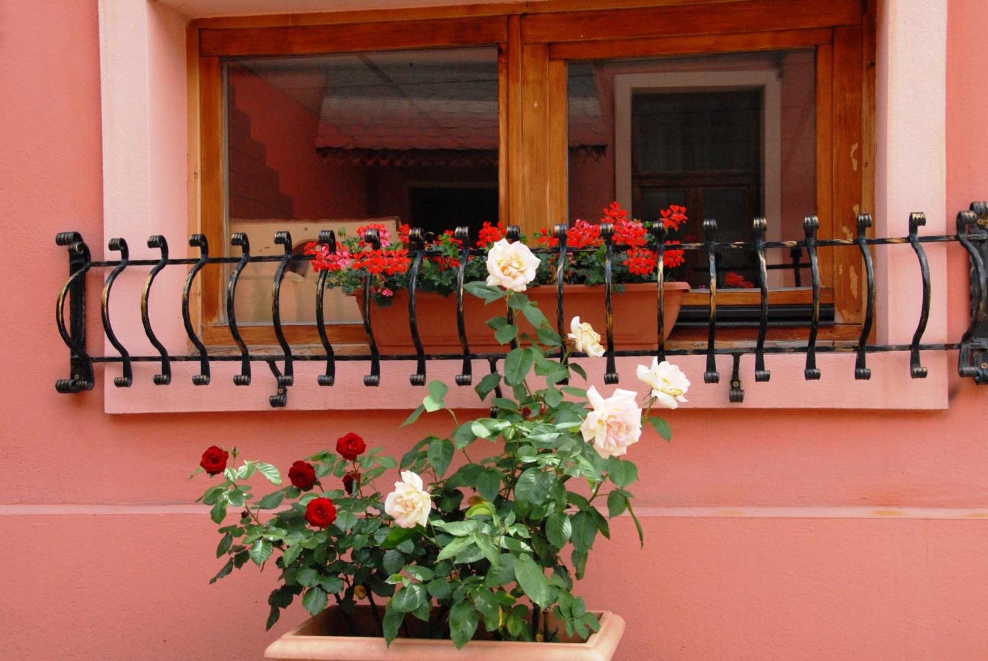 Pensiunea Daniel Sibiu Exterior foto